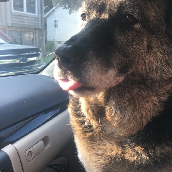 Meet your Posher, Courtney - Picture 2 of 4